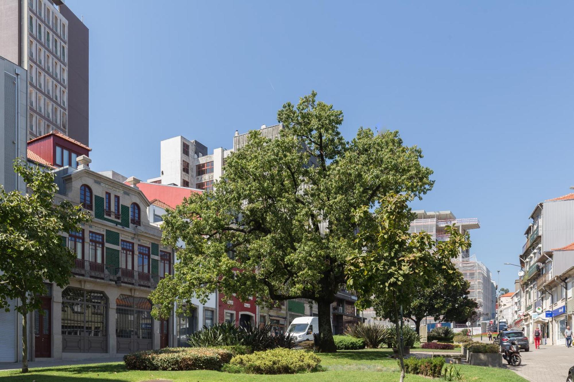 Qp Apartments Trindade Porto Eksteriør billede